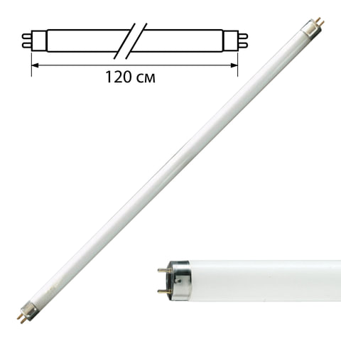 Лампа люминесцентная PHILIPS TL-D 36W/54-765, 36 Вт, цоколь G13, в виде трубки 120 см, холодный дневной свет