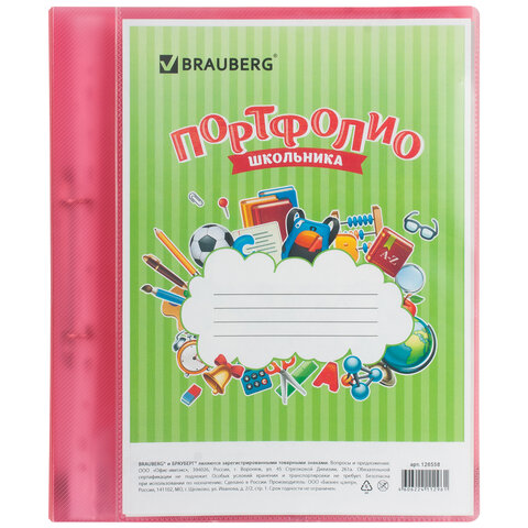 Папка для портфолио школьника, 2 кольца, 20 файлов, пластик полупрозрачный, BRAUBERG