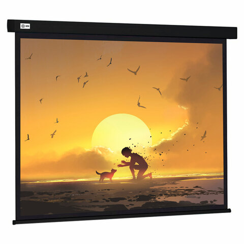 Экран Cactus Wallscreen CS-PSW-150X150-BK, 150x150 см, 1:1, настенно-потолочный, PSW-150x150-BK