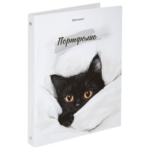 Папка-портфолио универсальная, 4 кольца, 20 файлов, 7БЦ матовая, BRAUBERG 