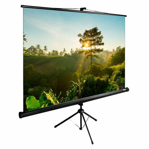 Экран Cactus TriExpert CS-PSTE-200x200-BK, 200x200 см, 1:1, напольный