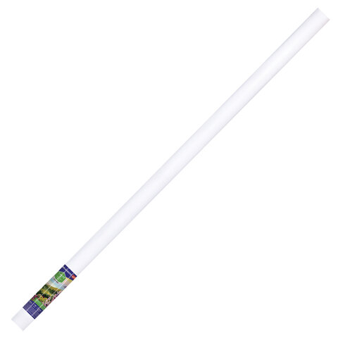 Холст в рулоне BRAUBERG ART CLASSIC, 1,6x10 м, грунт., 380 г/м2, 100% хлопок, зерно