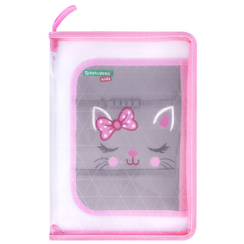 Папка для труда на молнии BRAUBERG KIDS А4, 1 отделение, прозрачная, органайзер, 