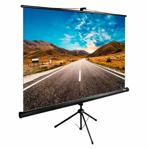 Экран Cactus TriExpert CS-PSTE-160x160-BK, 160x160 см, 1:1, напольный