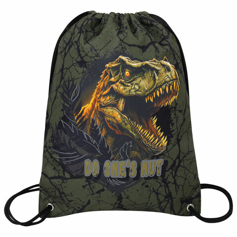 Мешок для обуви BRAUBERG PREMIUM, карман, подкладка, светоотражайка, 43х33 см, Dino attack