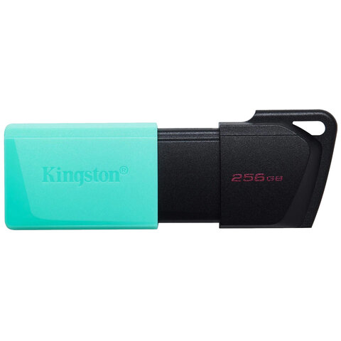 Флеш-диск 256GB KINGSTON DataTraveler Exodia M, разъем USB 3.2, DTXM/256GB