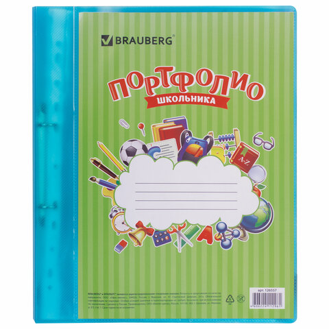 Папка для портфолио школьника, 2 кольца, 20 файлов, пластик, полупрозрачный, BRAUBERG