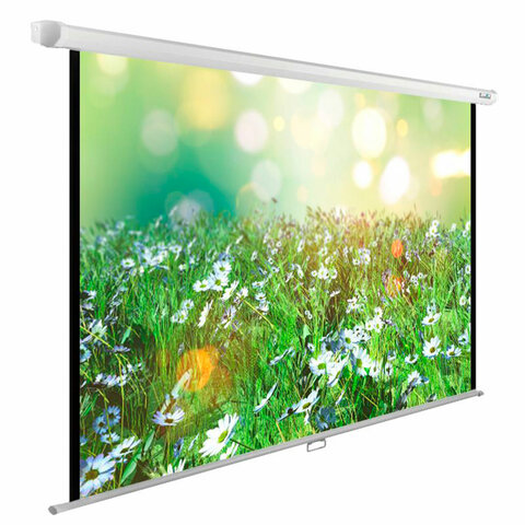 Экран Cactus WallExpert CS-PSWE-200x200-WT, 200x200 см, 1:1, настенно-потолочный