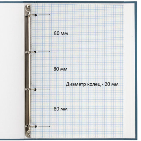Тетрадь на кольцах БОЛЬШАЯ А4, 210х305 мм, 100 листов, твердый картон, клетка, BRAUBERG, "Shade", 404102