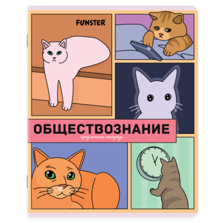Тетради предметные, КОМПЛЕКТ 12 ПРЕДМЕТОВ, 48 л., TWIN-лак, FUNSTER (ФАНСТЕР), МЕМНЫЕ КОТЫ, 405604