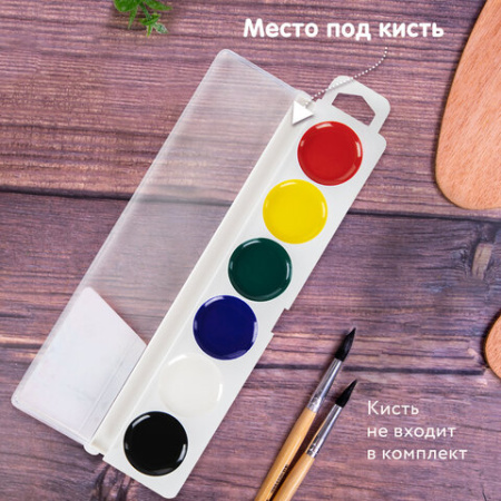Краски акварельные BRAUBERG "МАГИЯ ЦВЕТА NEW", медовые, 6 цветов, круглые кюветы, пластик, 192285