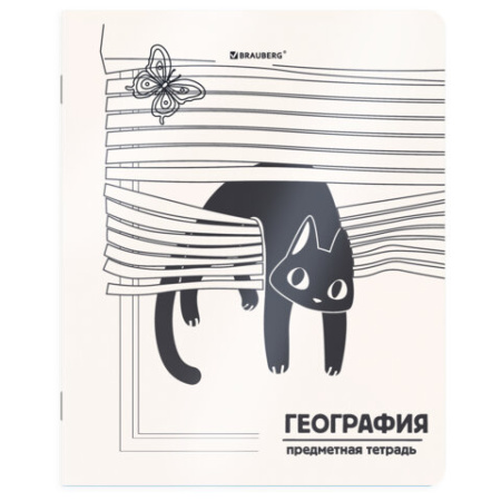 Тетради предметные, КОМПЛЕКТ 12 ПРЕДМЕТОВ 48 л., пластиковая обложка, BRAUBERG "КОТ-НЕПОСЕДА", 405542