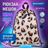 Мешок для обуви BRAUBERG большой удобный с ручкой, 51х41 см, "Wild spots", 271593