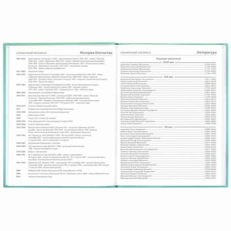 Дневник 5-11 класс 48 л., твердый, BRAUBERG, выборочный лак, с подсказом, "Гусь-джентльмен", 106884