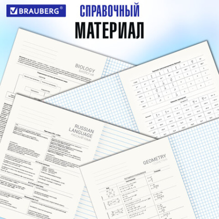 Тетради предметные, КОМПЛЕКТ 12 ПРЕДМЕТОВ, 48 л., обложка картон, BRAUBERG, "КЛАССИКА SCIENCE", 404843