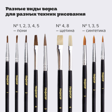 Кисти ПИФАГОР, набор 10 шт. (ПОНИ: плоская № 4, круглые № 1, 2, 3, 5; СИНТЕТИКА: круглые № 1, 3, 5; ЩЕТИНА: плоские № 4, 8), блистер, 200505