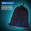 Мешок для обуви BRAUBERG БОЛЬШОЙ, с ручкой, карман на молнии, сетка, 49х41 см, "Электро", 271061