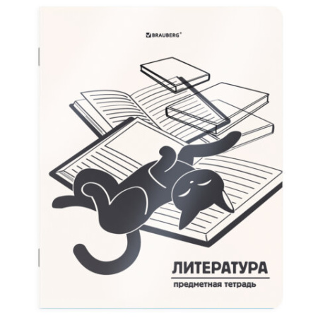 Тетради предметные, КОМПЛЕКТ 12 ПРЕДМЕТОВ 48 л., пластиковая обложка, BRAUBERG "КОТ-НЕПОСЕДА", 405542