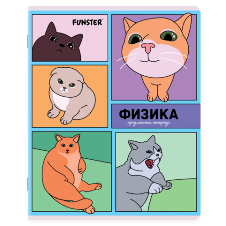 Тетради предметные, КОМПЛЕКТ 12 ПРЕДМЕТОВ, 48 л., TWIN-лак, FUNSTER (ФАНСТЕР), МЕМНЫЕ КОТЫ, 405604