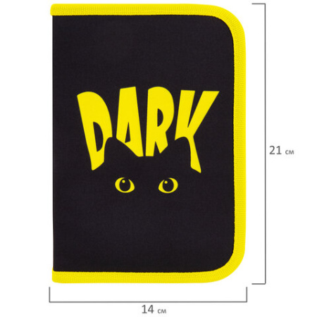 Пенал BRAUBERG с наполнением, 1 отделение, 1 откидная планка, 24 предмета, 21х14 см, "Dark cat", 272351