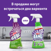 Средство для чистки плит, духовок 750 мл, CILLIT BANG "Антижир + Сияние", распылитель, 24203