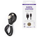 Кабель USB 2.0 – Lightning, 1 м, RED LINE, для подключения портативных устройств, УТ000008646