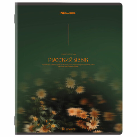 Тетради предметные, КОМПЛЕКТ 13 ПРЕДМЕТОВ, 48 л., SoftTouch, BRAUBERG "PEACEFUL", 405182