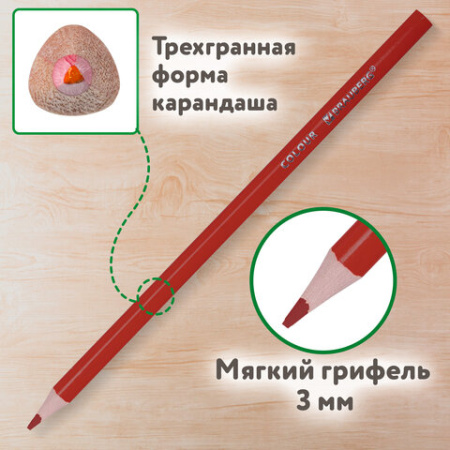 Карандаши цветные BRAUBERG KIDS NEW, 24 цвета, трехгранные, грифель 3 мм, 182002