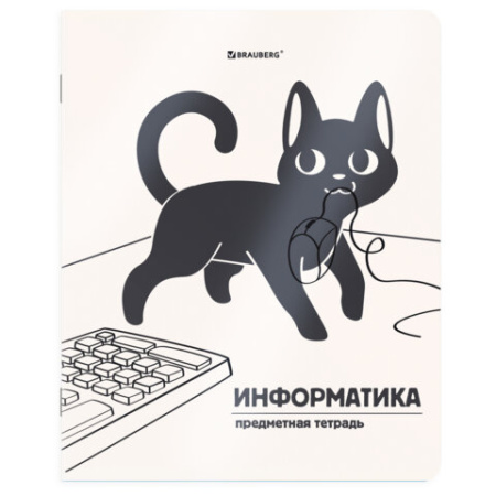 Тетради предметные, КОМПЛЕКТ 12 ПРЕДМЕТОВ 48 л., пластиковая обложка, BRAUBERG "КОТ-НЕПОСЕДА", 405542
