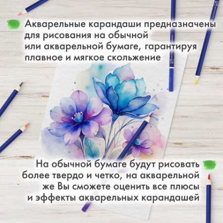 Карандаши художественные цветные акварельные BRAUBERG ART CLASSIC, 24 цвета, грифель 3,3 мм, 181530