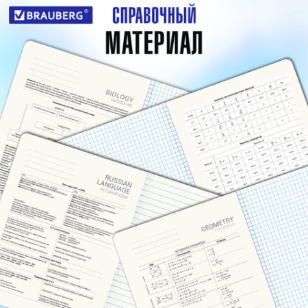 Тетради предметные, КОМПЛЕКТ 12 ПРЕДМЕТОВ, 48 л., глянцевый УФ-лак, BRAUBERG "MAGICAL WHITE", 405168