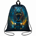 Мешок для обуви BRAUBERG KIDS, с петлей, 42х34 см, Мешок для обуви BRAUBERG KIDS, с петлей, 42х34 см,