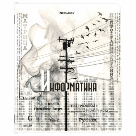 Тетради предметные, КОМПЛЕКТ 12 ПРЕДМЕТОВ, 48 л., матовая ламинация, BRAUBERG, "BLACK&WHITE", 404835