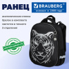 Ранец BRAUBERG SHINY, 2 отделения, с брелоком, "Тигр", СВЕТЯЩИЙСЯ РИСУНОК, 38х28х14 см, 270698