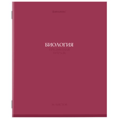 Тетради предметные, КОМПЛЕКТ 13 ПРЕДМЕТОВ, 36 л., обложка мелованная бумага, BRAUBERG, "КОЛОР", 405161