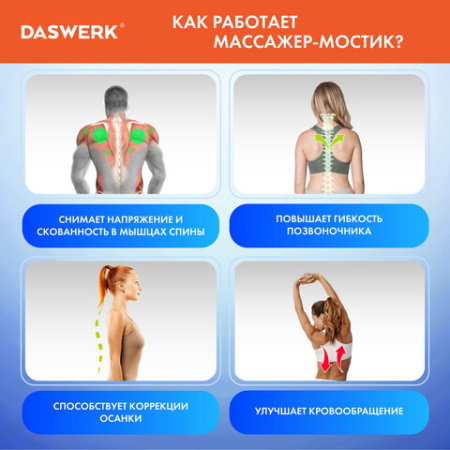 Массажер для спины/мостик для растяжки PREMIUM, 3 уровня нагрузки, синяя вставка, DASWERK (ДАСВЕРК), 680035