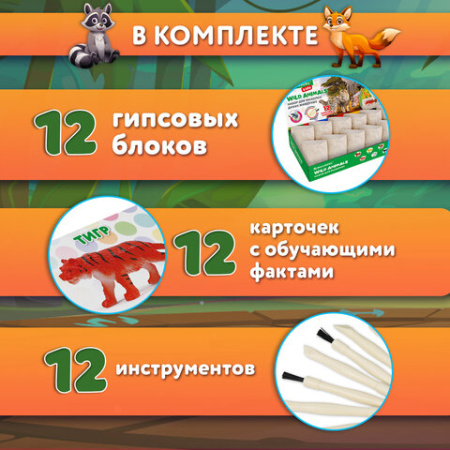 Набор для раскопок "Дикие животные", 12 видов, карточки, инструменты, BRAUBERG KIDS, 665128