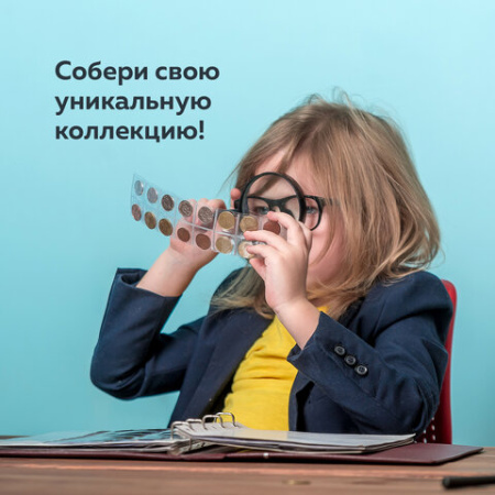 Листы-вкладыши для денежных купюр для альбома "Оптима" М9-05, комплект 5 шт., 200х250 мм, 2 кармана, ЛМБ-02