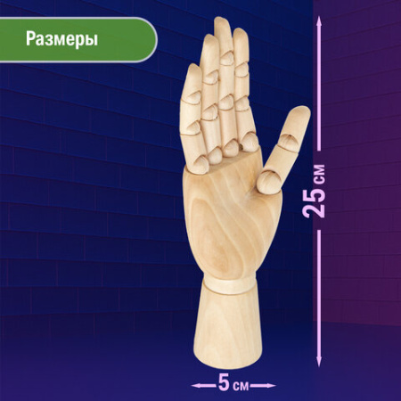 Манекен художественный BRAUBERG ART CLASSIC "РУКА", высота 25 см., женская правая, дерево, 191299