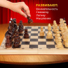 Шахматы турнирные, деревянные, лакированные, глянцевые, доска 40*40 см, ЗОЛОТАЯ СКАЗКА, 665363