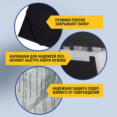 Папка на резинках BRAUBERG "Business", А4, 13 отделений, пластиковый индекс, черная, 0,5 мм, 224147