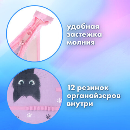Папка для труда BRAUBERG А4, 2 отделения, пластик, молния сверху, органайзер, "Hide and seek", 273399