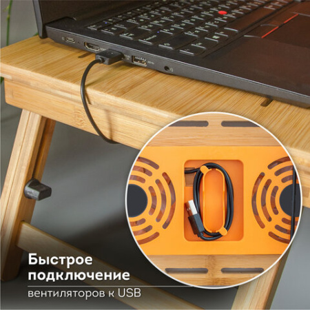Столик БАМБУКОВЫЙ складной для ноутбука/завтрака, с охлаждением, DASWERK (ДАСВЕРК), 532583