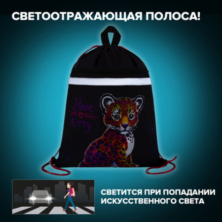 Мешок для обуви BRAUBERG, с петлей, светоотражающая полоса, 2 отделения, 46х36 см, "Леопард", 272395