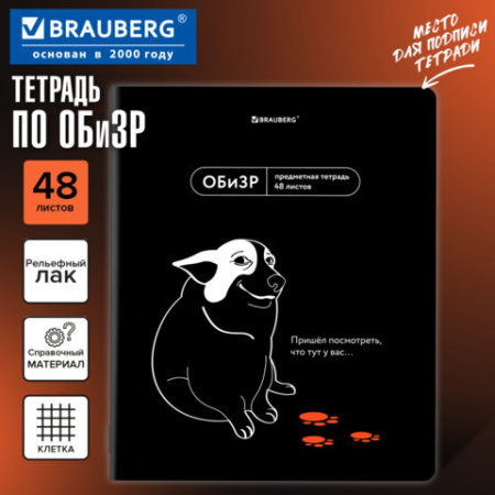 Тетрадь предметная МЕМЫ 48 л., TWIN-лак, ОБиЗР, клетка, подсказки, BRAUBERG, 405108
