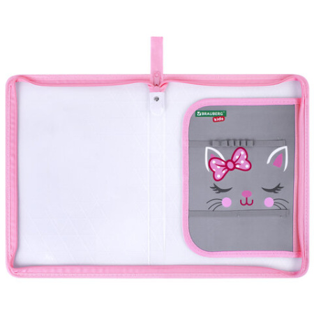 Папка для труда на молнии BRAUBERG KIDS А4, 1 отделение, прозрачная, органайзер, "Очаровательный кот", 273397