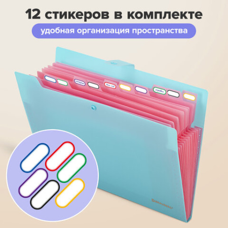 Папка-органайзер на кнопке 12 отделений, BRAUBERG "Extra", А4, голубая с розовым, 271932