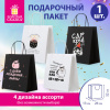 Пакет подарочный (1 штука) 26х13х32 см (L) "Funny Mix", ассорти, крафт, ЗОЛОТАЯ СКАЗКА, 700820