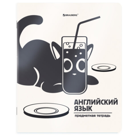 Тетради предметные, КОМПЛЕКТ 12 ПРЕДМЕТОВ 48 л., пластиковая обложка, BRAUBERG "КОТ-НЕПОСЕДА", 405542