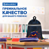 Мешок для обуви BRAUBERG, с петлей, светоотражающая полоса, 2 отделения, 46х36 см, "Огненный паук", 273450
